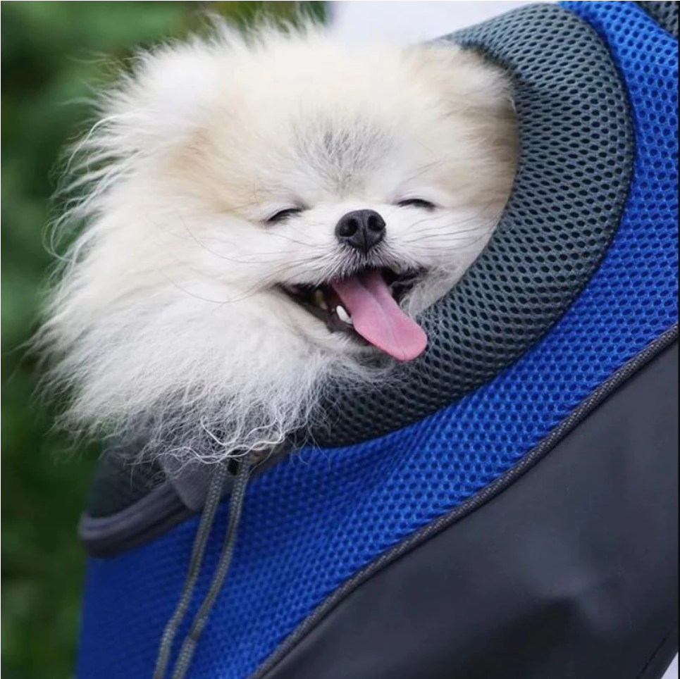 Sac de transport pour chien